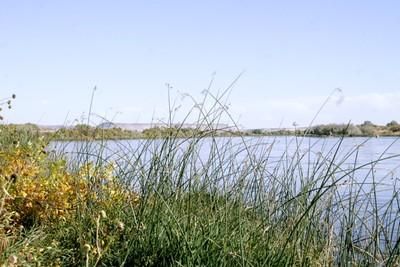 Property in Owyhee County, Idaho