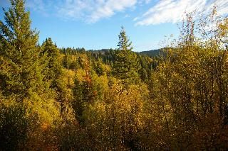 Property in Clearwater County, Idaho