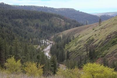 Property in Latah County, Idaho