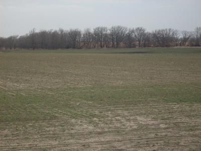 Property in Labette County, Kansas