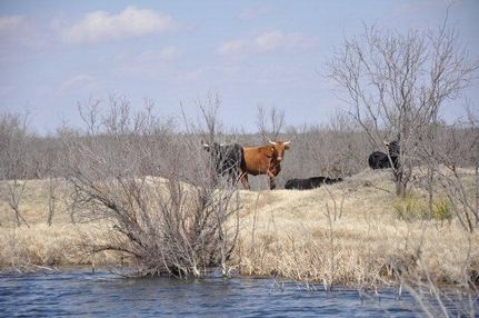 Property in Lynn County, Texas