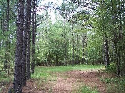 Property in Randolph County, Georgia