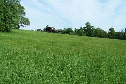 Property in Yadkin County, North Carolina