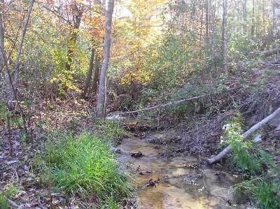 Property in Monroe County, Alabama