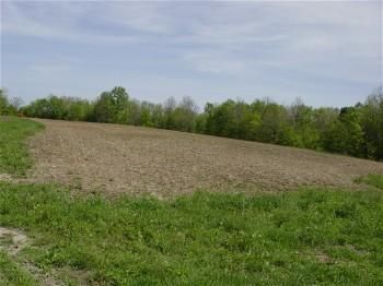 Property in Appanoose County, Iowa