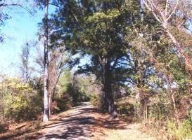 Property in Morris County, Texas