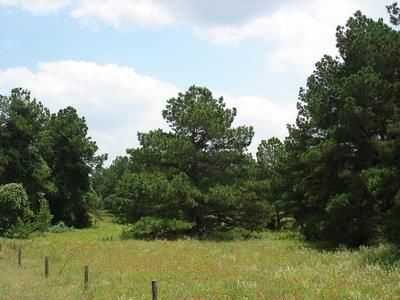 Property in Caldwell County, Texas