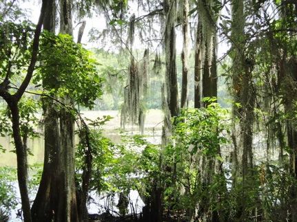 Property in Harrison County, Texas