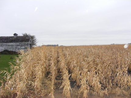 Property in Hancock County, Iowa