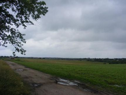 Property in Decatur County, Iowa