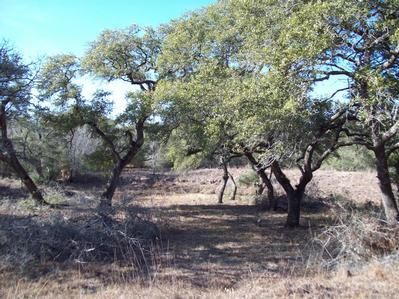 Property in Colorado County, Texas