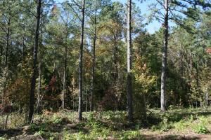 Property in Elmore County, Alabama