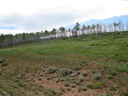 Property in Jackson County, Colorado