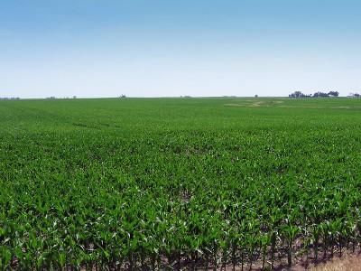 Property in DeWitt County, Illinois