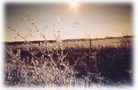 Property in Huron County, Ohio