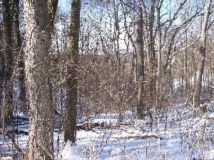 Property in Hocking County, Ohio