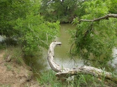 Property in Coleman County, Texas