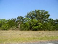 Property in Callahan County, Texas