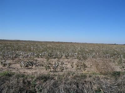 Property in Haskell County, Texas
