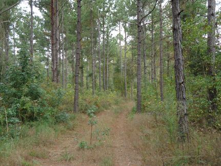 Property in Caddo Parish, Louisiana