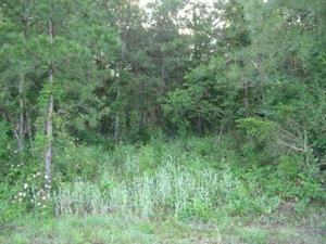 Property in Scott County, Missouri