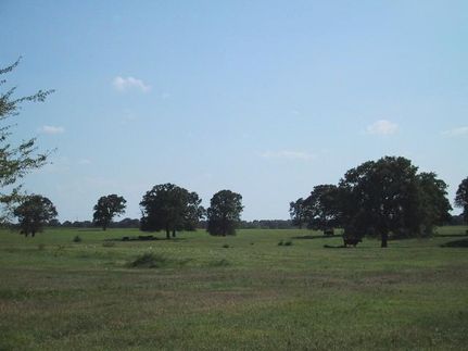Property in Henderson County, Texas