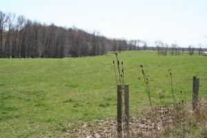 Property in Wayne County, Illinois