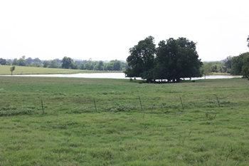 Property in Lamar County, Texas