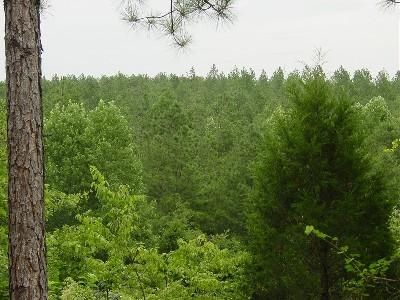 Property in Elbert County, Georgia