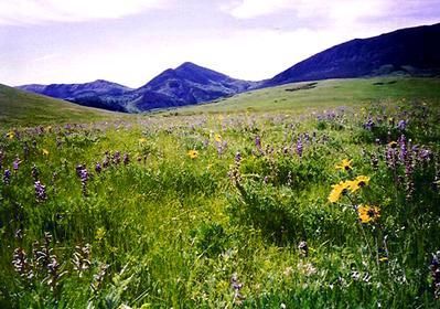 Property in Sheridan County, Wyoming