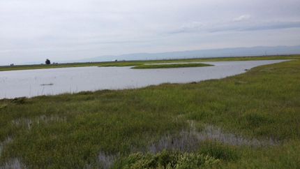 Property in Fresno County, California