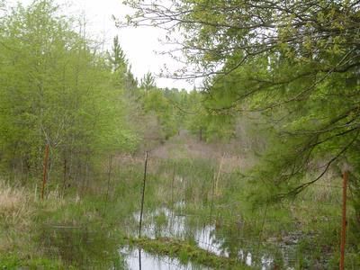 Property in Little River County, Arkansas