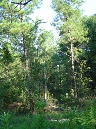 Property in Little River County, Arkansas