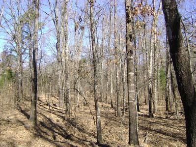 Property in Wood County, Texas