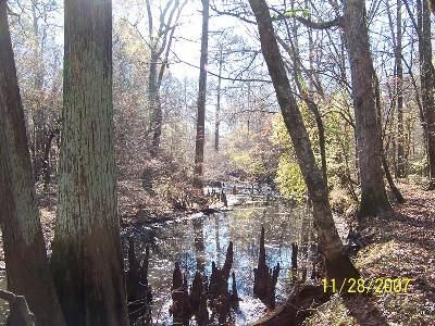 Property in Ashley County, Arkansas