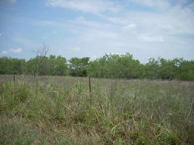 Property in Freestone County, Texas
