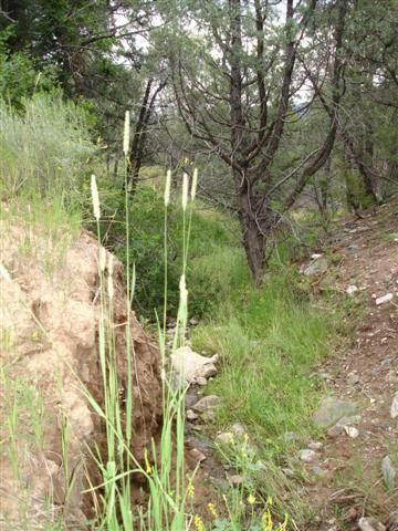 Property in Fremont County, Colorado