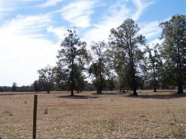 Property in Dixie County, Florida