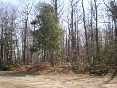 Property in Franklin City County, Virginia