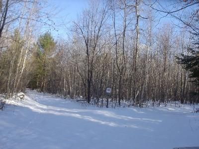 Property in Presque Isle County, Michigan