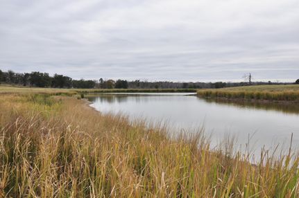 Property in Bastrop County, Texas