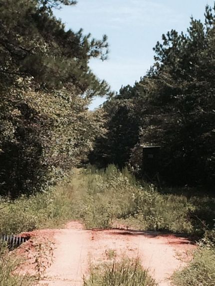 Property in Wayne County, Mississippi