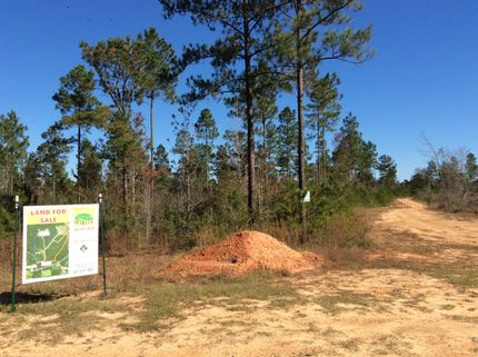 Property in Stone County, Mississippi