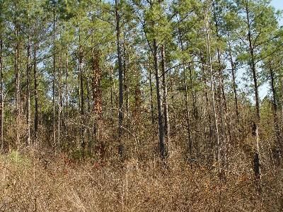 Property in Monroe County, Alabama