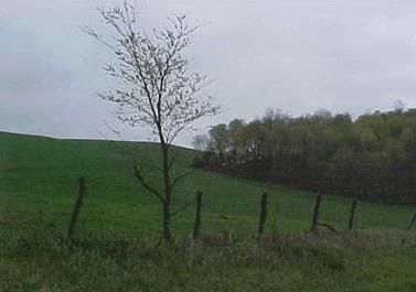 Property in Holmes County, Ohio
