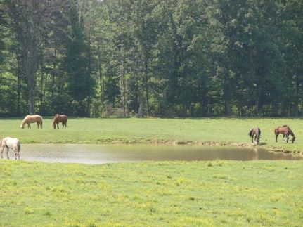 Property in Casey County, Kentucky