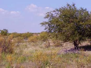 Property in Briscoe County, Texas