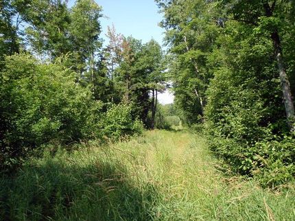 Property in Portage County, Wisconsin