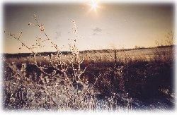 Property in Miami County, Ohio