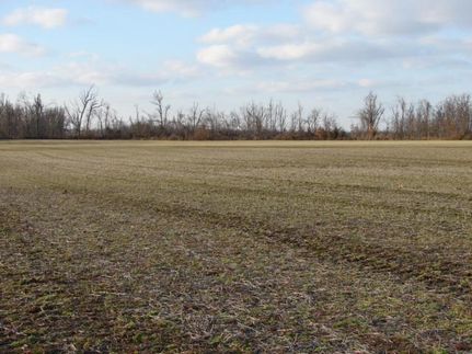 Property in Graves County, Kentucky